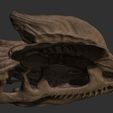 ZBrush-Document13.jpg Dilophosaurus Skull