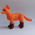 1621685037607.jpg Fox BJD