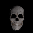 1.png Magnetic Articulated Skull