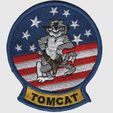Tomcat-3.jpg F-14 Tomcat Plaque