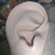 IMG-20231029-WA0002-1.jpg ear 3d model - ear - earlobe - ENT