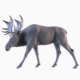 001.png Moose