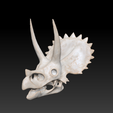 Ekran-Resmi-2024-12-07-13.20.42.png Triceratops Dinosaur Skull 3D Model