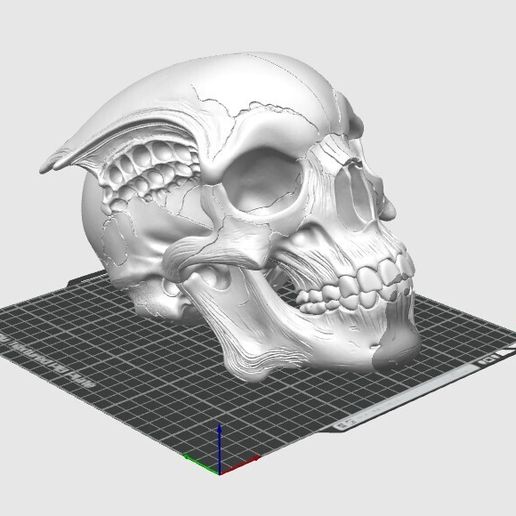 👽 Alien Skull・ STL File for 3D printing・Cults
