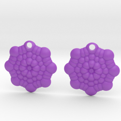 01.png Earrings