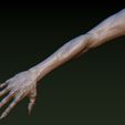 1.jpg Zombie Hand