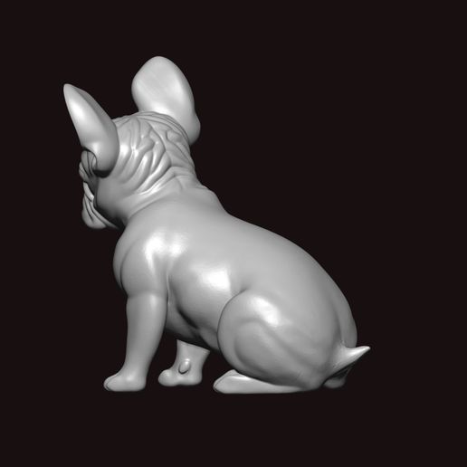 10aaa.jpg Bull dog francés