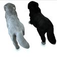 8.jpg DOG DOG - DOWNLOAD Sheepdog 3d model - CANINE PET GUARDIAN WOLF HOUSE HOME GARDEN POLICE 3D printing DOG DOG