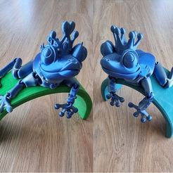 Flexi Print-in-Place Frog Prince and Princess