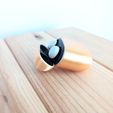 PXL_20241103_101001173.jpg Google Pixel Buds Pro 2 case