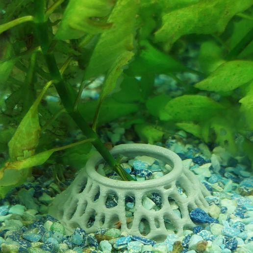Aquarium Planter 3D model