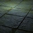 10.jpg Textura Mossy Pavement 8K PBR