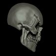 Craneorender5.jpg Skull / Skeletor Skull