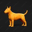 2865-Bull_Terrier_Miniature_Pose_02.jpg Bull Terrier Miniature Dog 3D Print Model Pose 02
