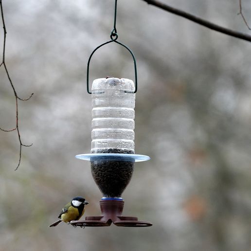 zaves.JPG Free STL file S38 Bird feeder on a PET bottle・3D print object to download, jirkabr