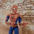 IMG_20230523_145525_510.jpg Spider-Man: Friend or Foe Complete Action Figure