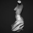 10.jpg Female Torso 3D Model