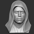 14.jpg Anakin Skywalker bust for 3D printing