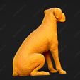 2525-Boxer_Pose_04.jpg Boxer Dog 3D Print Model Pose 04