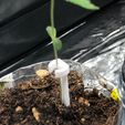 Tutor-Grow-1.jpeg Tutor para plantas