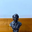 116153735_287271042545451_6939911317782285507_n.jpg Joker Heath Ledger Bust Sculpt 3D Printing Model