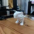 WhatsApp-Image-2022-12-28-at-2.23.04-PM.jpeg Dinosaurs Cute Baby T-Rex 3D Print Ready