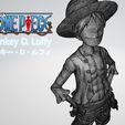 006.jpg Monkey D Luffy 3D