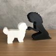 WhatsApp-Image-2023-01-10-at-13.42.38-1.jpeg Girl and her lhasa apso (wavy hair) for 3D printer or laser cut
