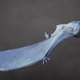 ptera3.jpg Pteranodonte: El soberano alado de los cielos cretácicos