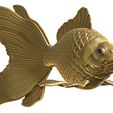 Golden-fish4.jpg Golden fish