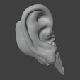10.png 3D Model Ear Cross Section