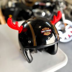 Casco2.jpeg RENO helmet horns