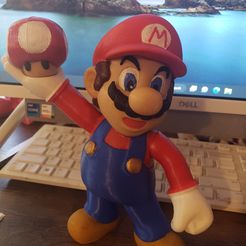 Super Mario Bros (Keine Unterstützung)