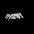 Capture-d’écran-2023-07-06-à-10.33.37.png crab