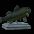 Bass-stocenej-7.png fish bass trophy statue detailed texture for 3d printing