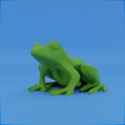 0024.png Frog stylized