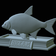 Bream-statue-30.png fish Common bream / Abramis brama statue detailed texture for 3d printing