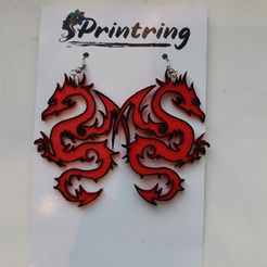 IMG_20200607_205111.jpg Dragon earrings