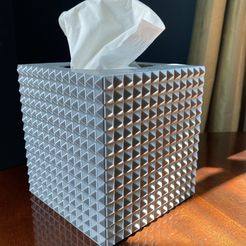 IMG_6784.jpeg Faceted Tissue Box