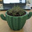 cambai_la_planta_202603290950.png Cactus Planter - Cute Desert Flower Pot