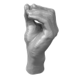 Mano-Presa-Pluridigital-3.png Pluridigital prey hand