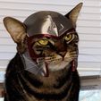 IMG_3298.jpeg Magnito Cat Helmet (X-Men)🪙