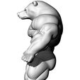 3.jpg Big Bear - Big Bear - Oso Grande - الدب الكبير