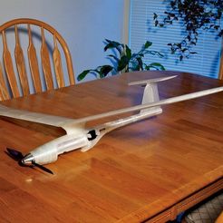 IMG_6791_display_large.jpg Free STL file Fully 3D printed modular RC Sailplane.・3D printing model to download