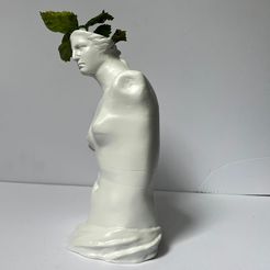 WhatsApp-Image-2022-07-08-at-12.10.07-PM.jpeg STL file Venus del milo POT MASETA・3D printable model to download