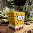 IMG_4010.jpg GRINDER SpongeBOB / BOB SPONGEBOB BITTER