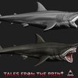 Great-white-shark-megalodon-2-Tales-from-the-print.jpg 鲨鱼--巨齿鲨--大白鲨套装--单件和多件版 品质卓越，由 Tales from the print 提供