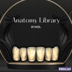 01HZL.png 3D file Dental Library 01HZL・3D printing template to download