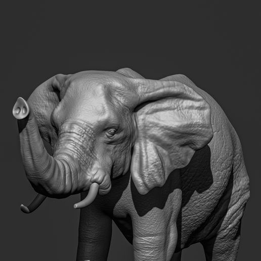 Elephant07.jpg Elephant