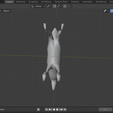 deer 8.PNG Deer Model